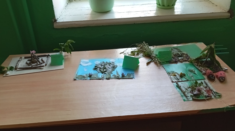 Четвёртый день ЛДП. Всемирный день окружающей среды "Зелёные ладони".